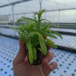 WhatsApp Image 2025-10-14 at 4.22.38 PM (2)