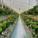 WhatsApp Image 2025-10-14 at 4.22.39 PM