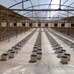 WhatsApp Image 2025-10-14 at 4.22.41 PM (1)